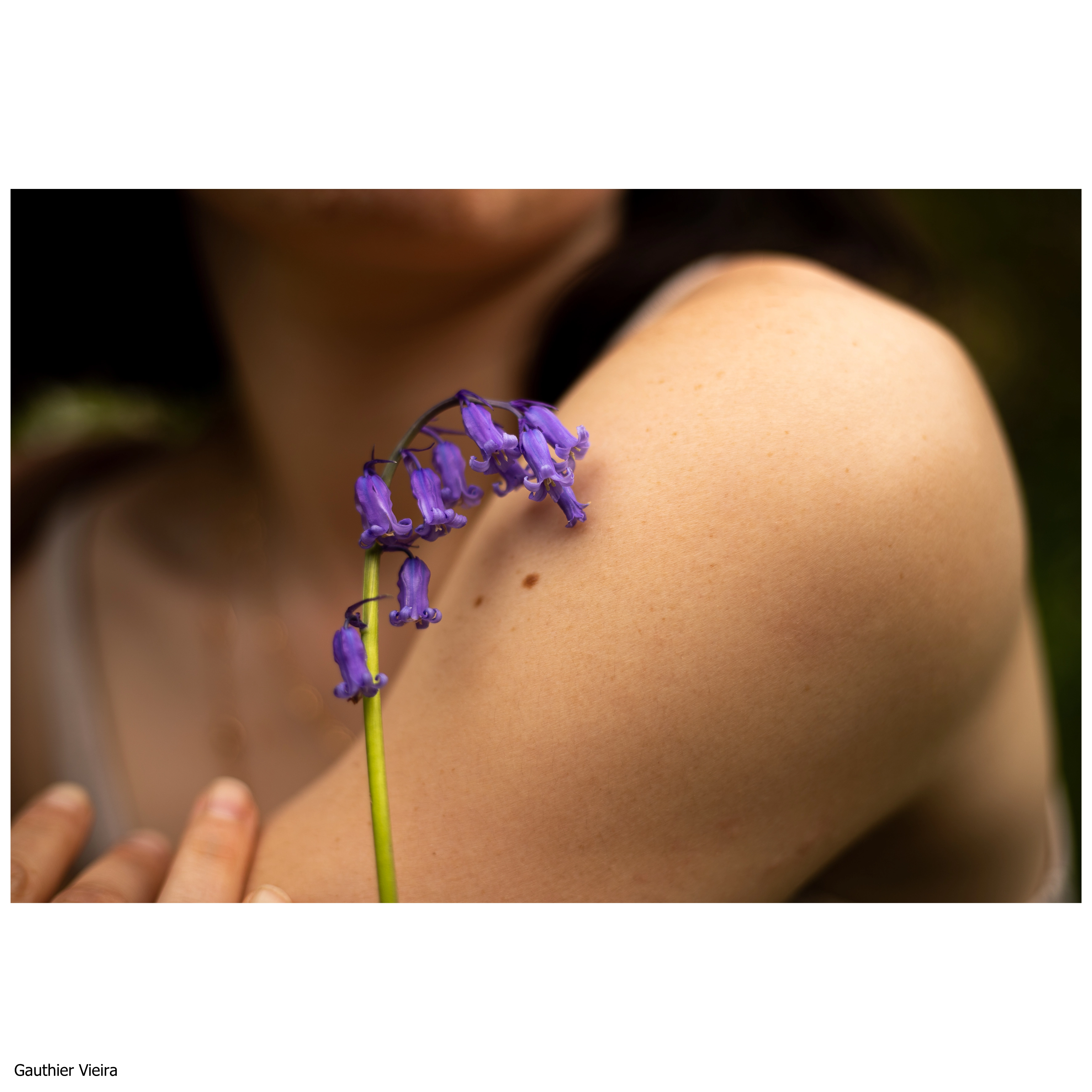 Photographie d'art d'une fleur en portrait