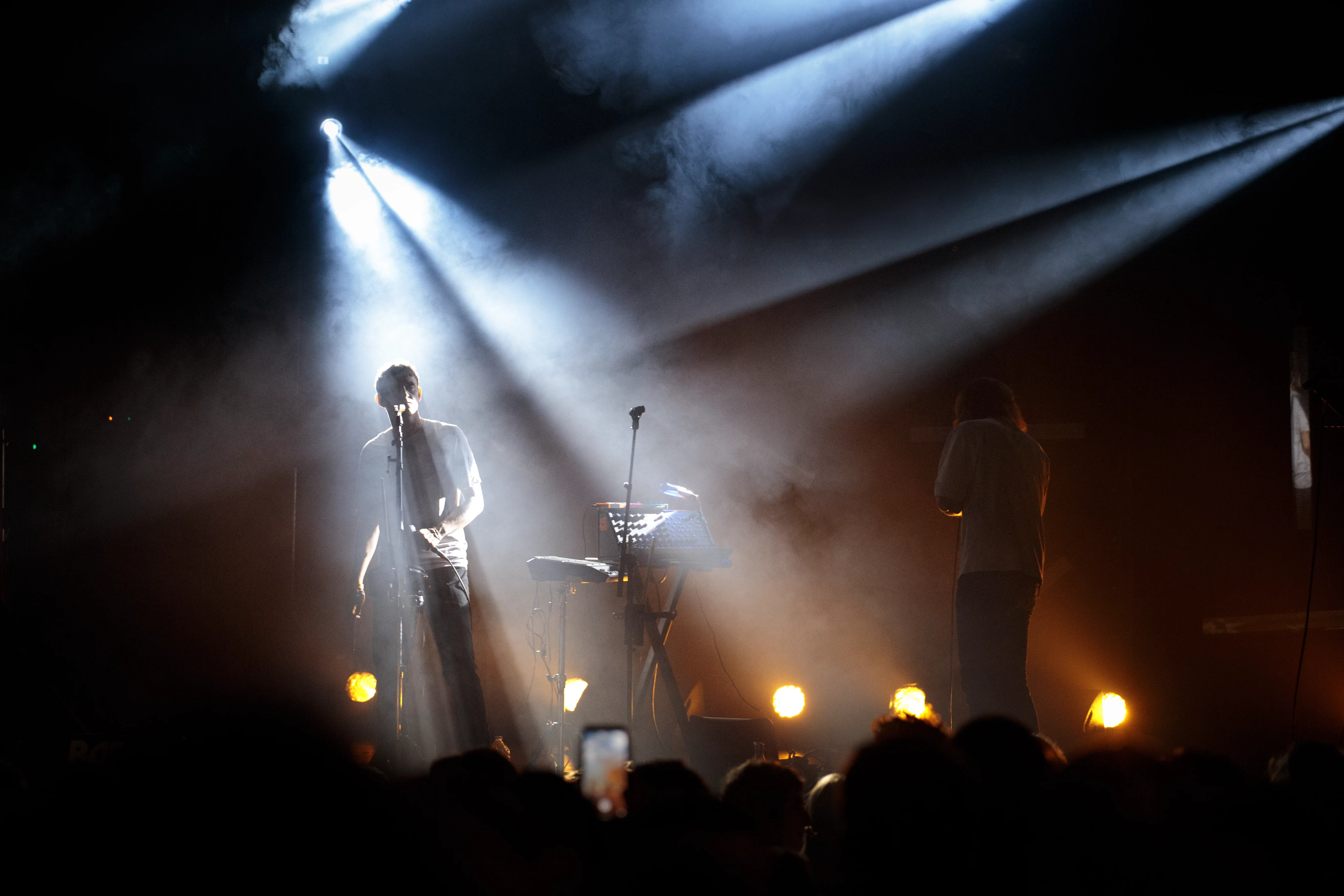 Photo de concert de Médicis à Rennes