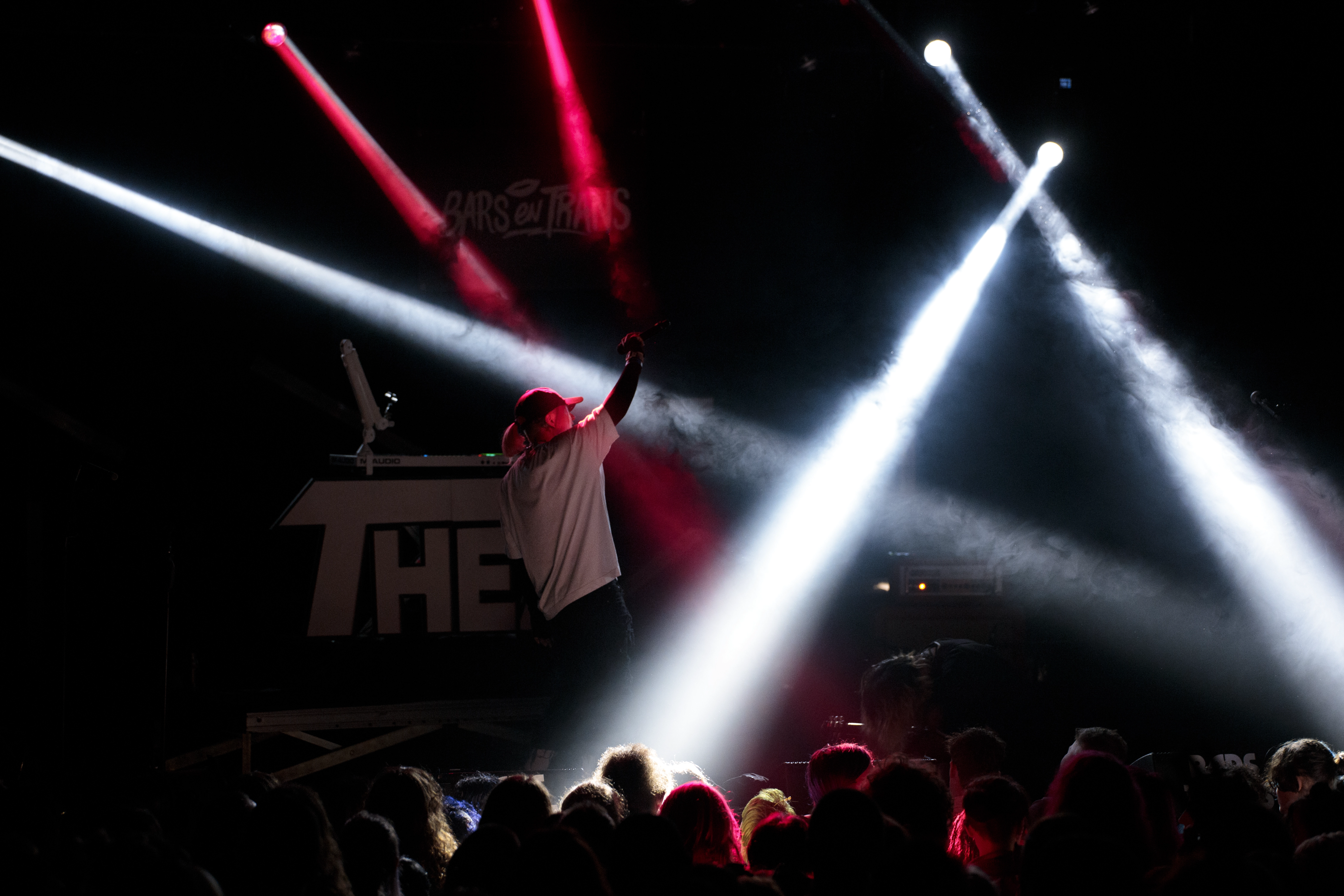Photo de concert de Théa à Rennes